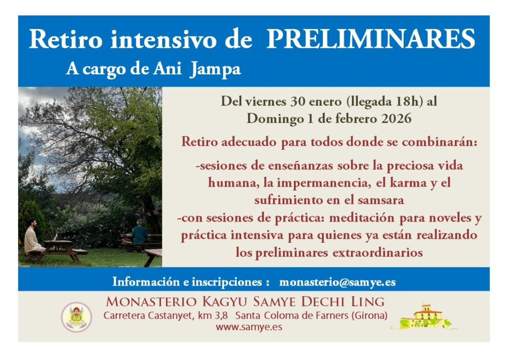 WhatsApp Image 2025-12-01 at 17.32.13