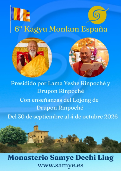 WhatsApp Image 2026-02-23 at 14.41.43