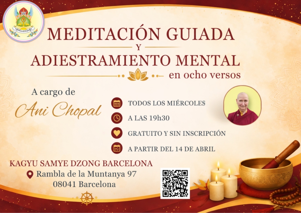 WhatsApp Image 2026-03-20 at 13.17.23